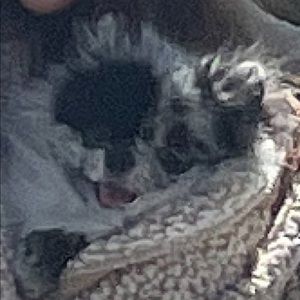 Meet your Posher, Jenna